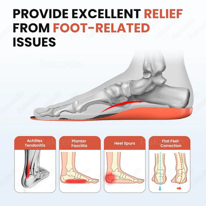 3 in 1 Orthotic Insole