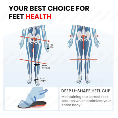 3 in 1 Orthotic Insole